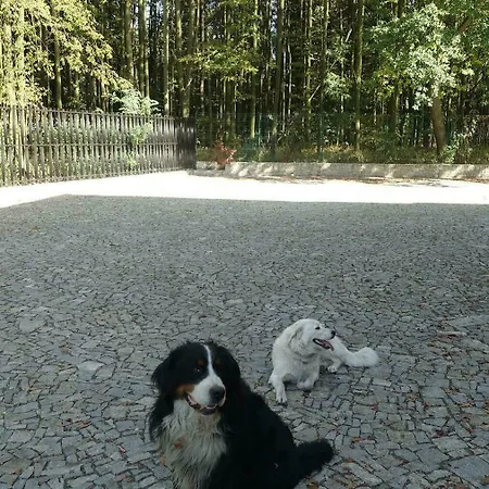 Guest house Na Landeku 4*